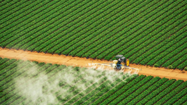Best Pest Control Near Me  in Bokeelia, FL